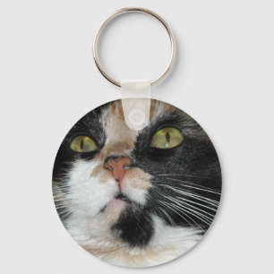 Chaveiro Calico Cat