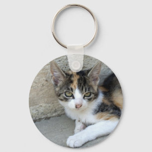 Chaveiro Calico Kitten