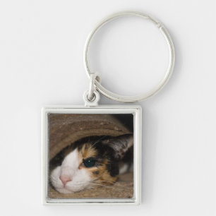 Chaveiro Calico Taco