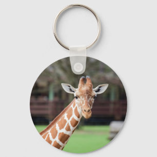 Chaveiro Camelopard (girafa)