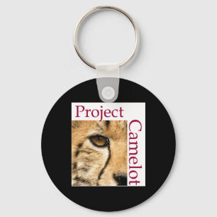 CHAVEIRO CAMELOT DO PROJETO