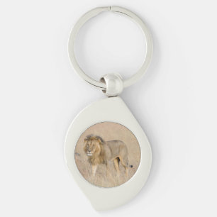Chaveiro Caminho de leão