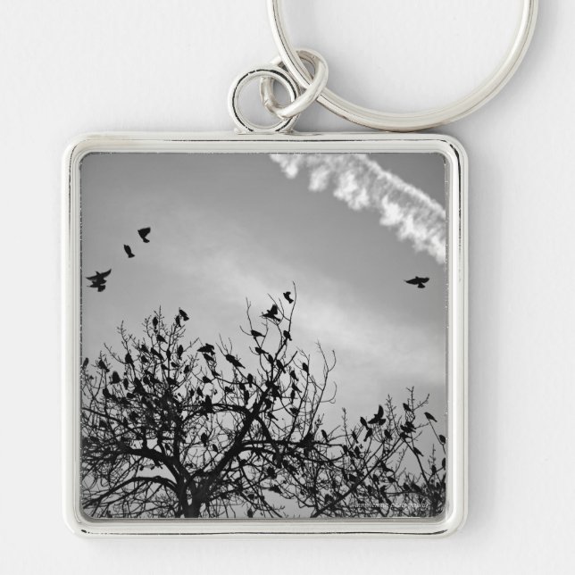 Chaveiro Caminho de Voo (Frente)