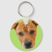 Camisa de Baileybobs