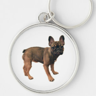 Chaveiro Camisa-T De Cãozinho Francês Com Cor Fawn
