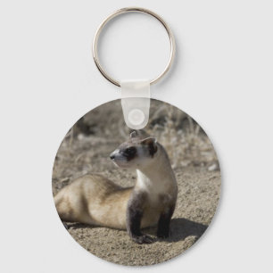 Chaveiro Camisetas e presentes para o telhado de Ferret