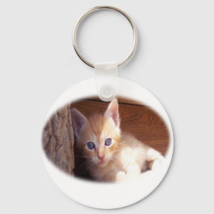 Chaveiro Camisetas e super mix de gatinhos