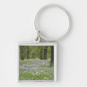 Chaveiro Campainhas e Carvalhos na Primavera, Little Hagley