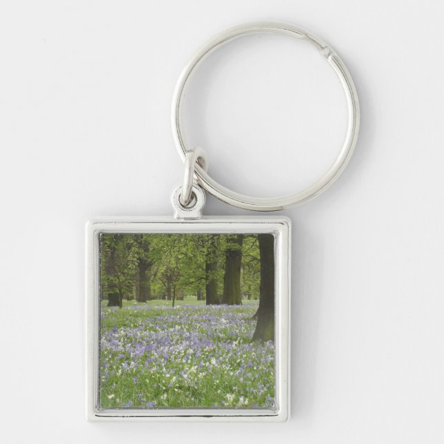 Chaveiro Campainhas e Carvalhos na Primavera, Little Hagley (Frente)
