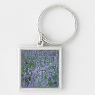 Chaveiro Campo da lavanda