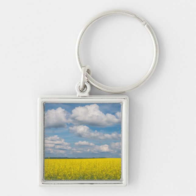 Chaveiro Campo de Canola & Nuvens (Frente)