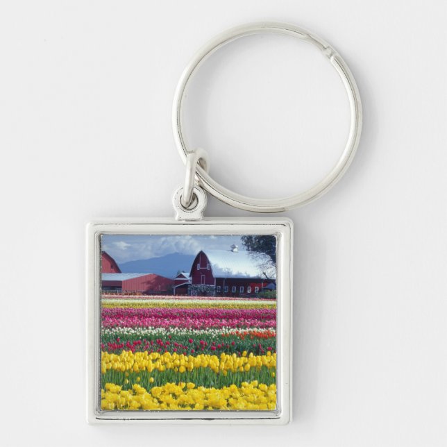 Chaveiro Campo de exibição de tulipas (Frente)