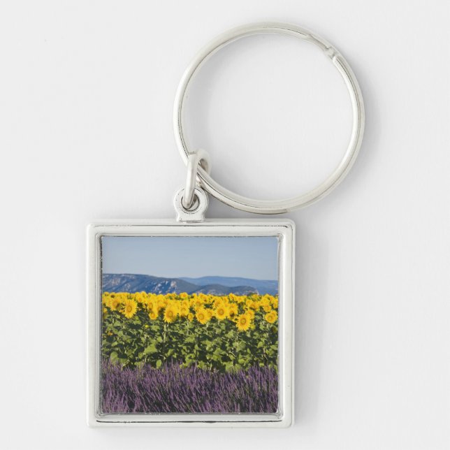 Chaveiro Campo de girassóis e flores de lavanda, (Frente)