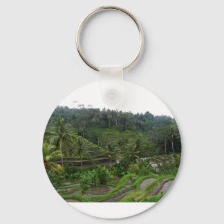 Chaveiro Campos de Arroz Terracados