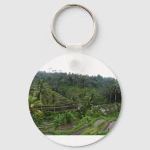 Chaveiro Campos Terraced do arroz
