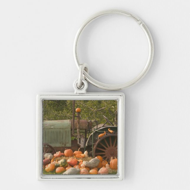 Chaveiro CANADÁ, British Columbia, Keremeos. Outono / 2 (Frente)