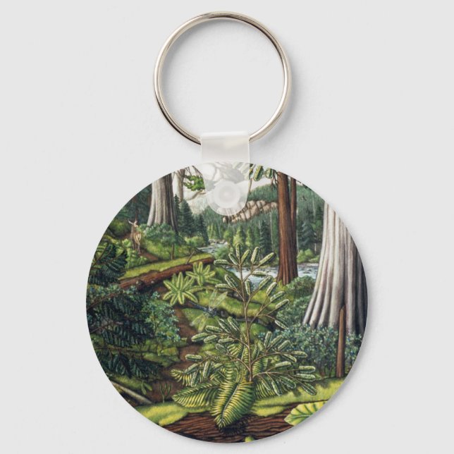 Chaveiro Canadá - Cadeia-chave Costa Oeste do Canadá - Souv (Frente)