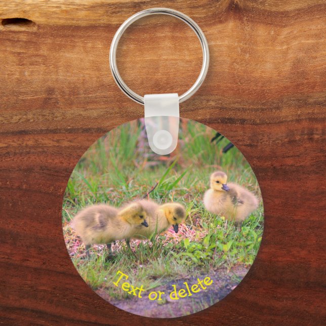 Chaveiro Canadá Goose Babies Natureza Personalizada (Frente)