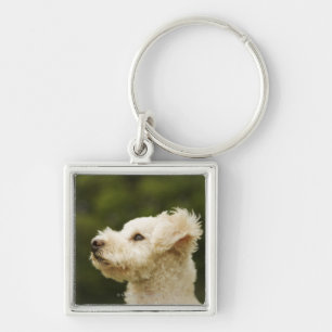 Chaveiro Caniche 2 (brancos)