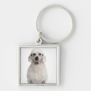 Chaveiro Caniche (bebê de um ano)