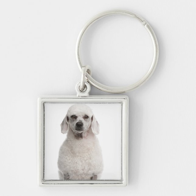 Chaveiro Caniche (bebê de um ano) (Frente)