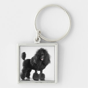 Chaveiro Caniche preta aparada