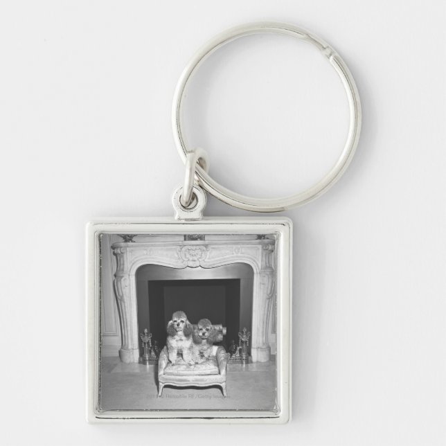 Chaveiro Caniches diminutas que sentam-se na frente da (Frente)