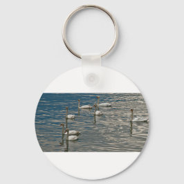 Chaveiro Canto do Cisne