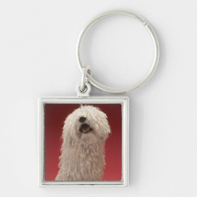 Chaveiro Cão bonito de Komondor (Frente)