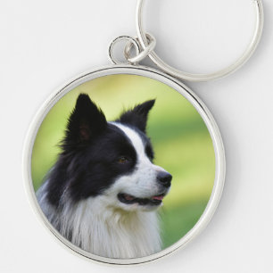 Chaveiro Cão Collie de Borda