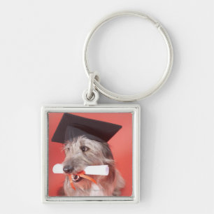 Chaveiro Cão com mortarboard e diploma