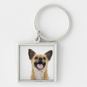 Chaveiro Cão da ânsia