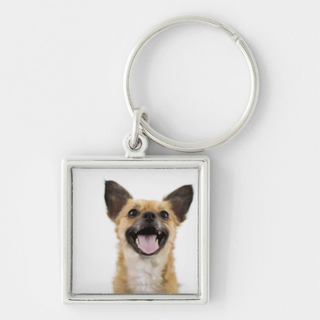 Chaveiro Cão da ânsia (Frente)