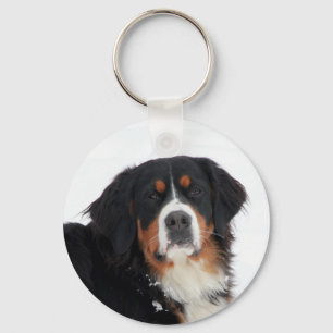 Chaveiro Cão da Montanha Bernês