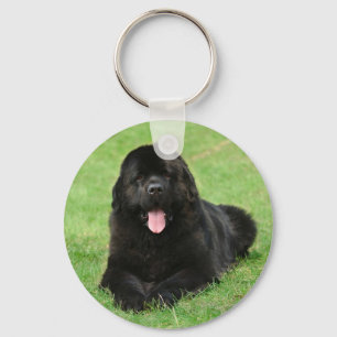 Chaveiro Cão da Terra Nova