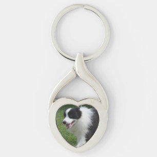 Chaveiro Cão de border collie