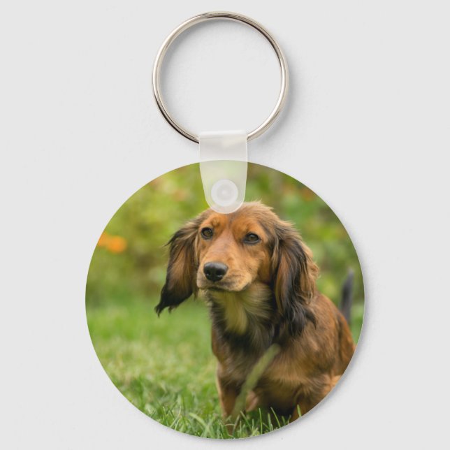 Chaveiro Cão de Dachshund bonito (Frente)