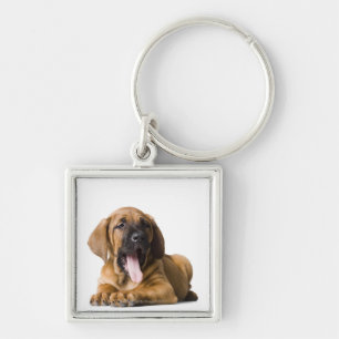 Chaveiro Cão de filhote de cachorro 2