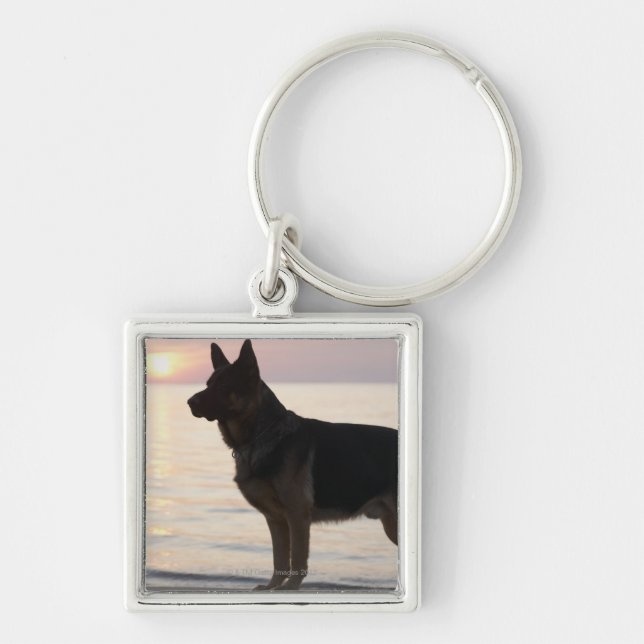 Chaveiro Cão de german shepherd na baía Georgian, Ontário, (Frente)
