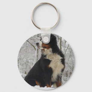 Chaveiro Cão de montanha de Bernese