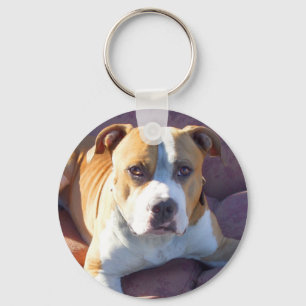 Chaveiro Cão de Pitbull