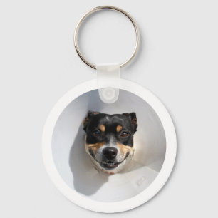 Chaveiro Cão de sorriso engraçado