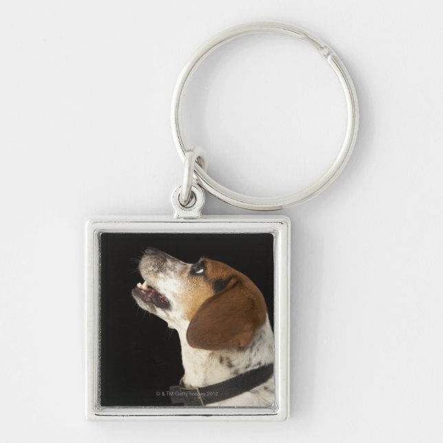 Chaveiro Cão do lebreiro com perfil preto do colar (Frente)