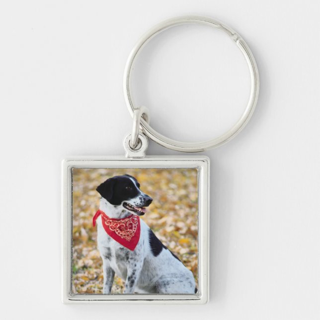 Chaveiro Cão do outono (Frente)