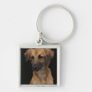 Chaveiro Cão do resuce de Brown com o nariz preto no preto