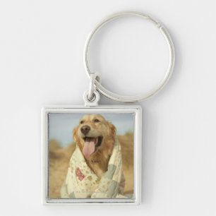 Chaveiro Cão do retrato na praia sob a edredão. Queda