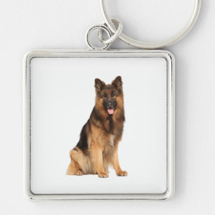 Chaveiro cão german shepherd, design de plástico,