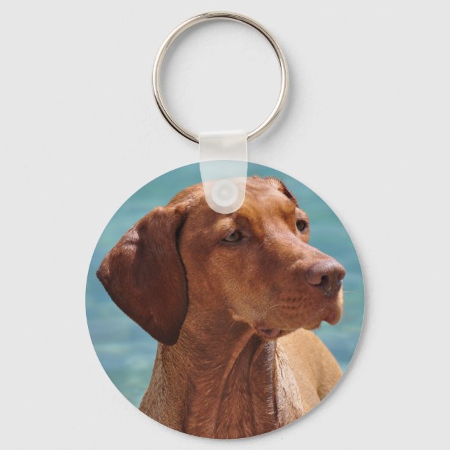 Chaveiro Cão Magyar Vizsla (Frente)