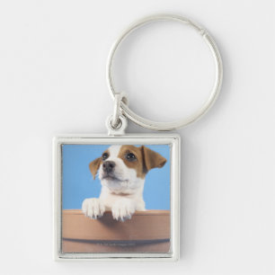 Chaveiro Cão no flowerpot