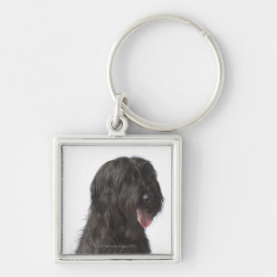 Chaveiro Cão preto, Briard
